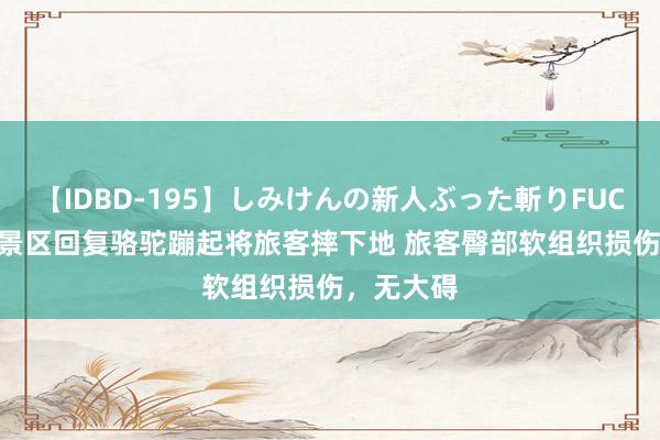 【IDBD-195】しみけんの新人ぶった斬りFUCK 6本番 景区回复骆驼蹦起将旅客摔下地 旅客臀部软组织损伤，无大碍
