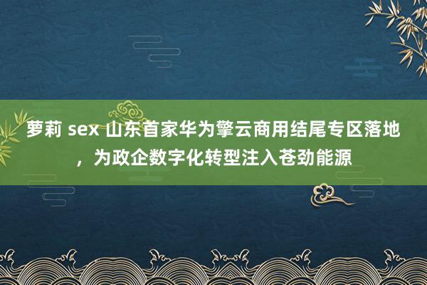 萝莉 sex 山东首家华为擎云商用结尾专区落地，为政企数字化转型注入苍劲能源