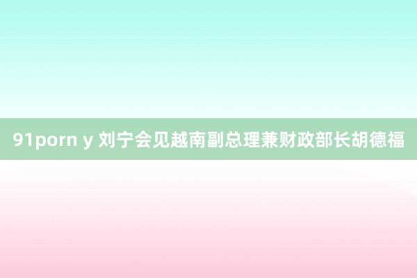91porn y 刘宁会见越南副总理兼财政部长胡德福