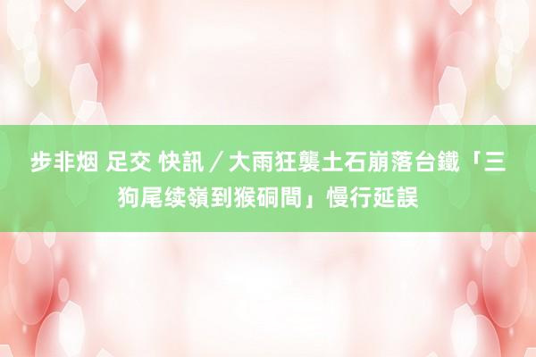 步非烟 足交 快訊／大雨狂襲土石崩落　台鐵「三狗尾续嶺到猴硐間」慢行延誤
