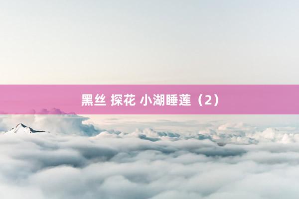 黑丝 探花 小湖睡莲（2）