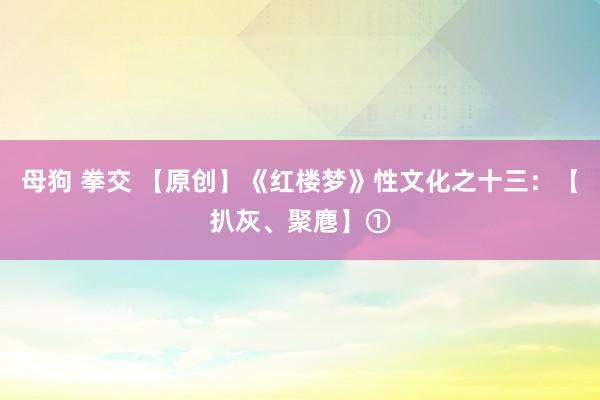 母狗 拳交 【原创】《红楼梦》性文化之十三：【扒灰、聚麀】①