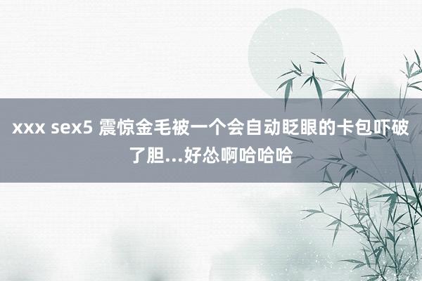 xxx sex5 震惊金毛被一个会自动眨眼的卡包吓破了胆...好怂啊哈哈哈