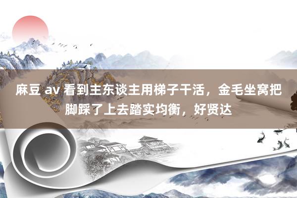 麻豆 av 看到主东谈主用梯子干活，金毛坐窝把脚踩了上去踏实均衡，好贤达