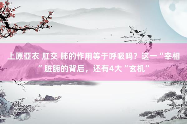 上原亞衣 肛交 肺的作用等于呼吸吗？这一“宰相”脏腑的背后，还有4大“玄机”