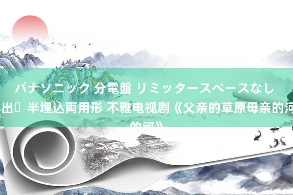 パナソニック 分電盤 リミッタースペースなし 露出・半埋込両用形 不雅电视剧《父亲的草原母亲的河》