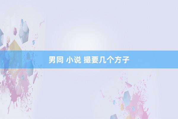 男同 小说 撮要几个方子